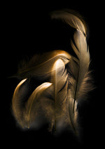 Bild in Galerieansicht laden, Golden Feather

